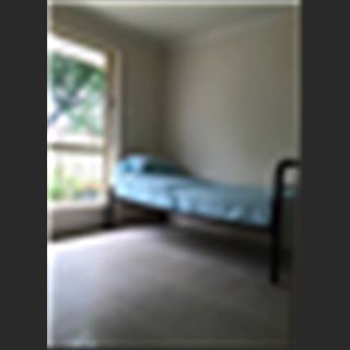 Dư phòng cho share khu vực Canley Vale